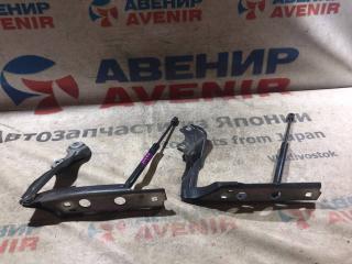 Петля капота AUDI A7 4GA, 4GF, 4MB 2 ракурс