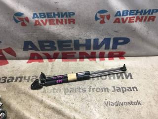 Амортизатор задней двери задний HONDA EDIX BE1, BE2, BE3, BE4, BE8 1 ракурс