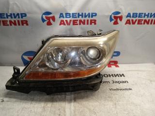 Фара левая передняя HONDA ELYSION RR1, RR2, RR5, RR6 7040 1 ракурс
