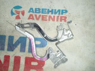 Петля капота TOYOTA PORTE NCP141, NCP145, NSP140, NSP141 1 ракурс