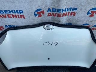 Капот DAIHATSU MIRA GINO L650S, L660S 2 ракурс