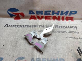 Петля капота HONDA ODYSSEY RC2 1 ракурс