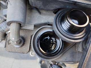 Двигатель HONDA N-VAN JJ1, JJ2 S07B S07B-2022639 5 ракурс Двигатель HONDA N-VAN JJ1, JJ2 S07B S07B-2022639 5 ракурс