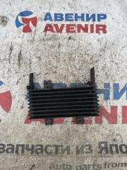 Радиатор акпп NISSAN TERRANO REGULUS JRR50 QD32ETI 1 ракурс
