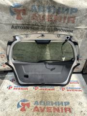 Дверь задняя задняя TOYOTA VITZ KSP90, SCP90, NCP95, NCP91 2 ракурс
