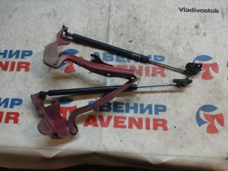 Петля капота SUBARU FORESTER SH5, SH9, SHJ 1 ракурс
