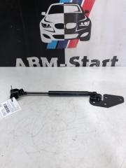 Амортизатор полки багажника задний BMW Hybrid X6 2009г. Ноябрь