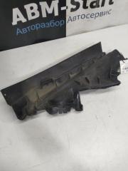 Щиток моторного отсека передний левый BMW Hybrid X6 2009г. Ноябрь