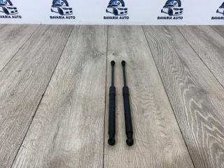 Запчасть амортизатор капота BMW X1 02.25.2010