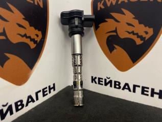 Катушка зажигания Volkswagen Passat 2011