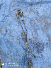 Датчик АБС передний правый Hyundai Solaris 2010-2017