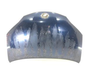 Капот Toyota Wish 2010