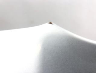 Крыло переднее левое MDX 2004 YD1 J35A