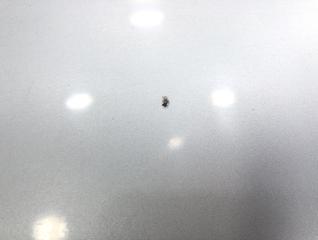 Капот MDX 2004 YD1 J35A