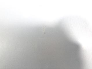 Капот MDX 2004 YD1 J35A