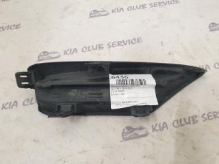 Заглушка бампера передняя левая RX 2019-2022 4