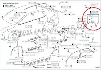 Расширитель крыла задний левый RX 2019-2023 4