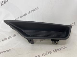 Заглушка бампера передняя левая RX 2019-2023 4