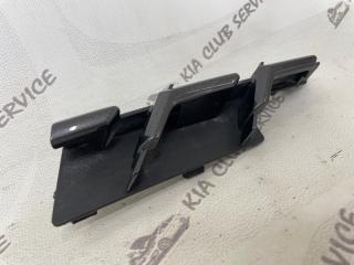 Заглушка решетки радиатора передняя правая RX 2019-2023 4