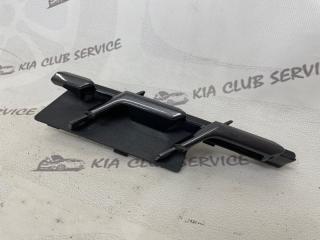 Заглушка решетки радиатора передняя правая LEXUS RX 4