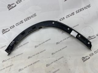 Расширитель крыла задний левый RX 2019-2023 4
