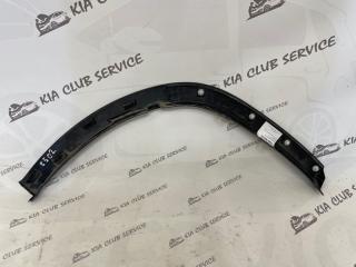 Расширитель крыла задний левый RX 2019-2023 4