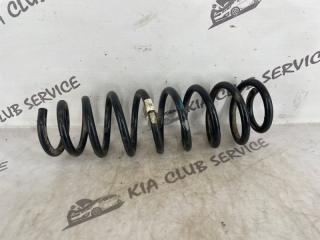 Пружина подвески задняя Kia Ceed 2018