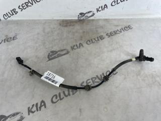 Датчик ABS задний левый Kia Quoris 2012-2019