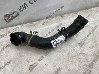 Патрубок радиатора KIA CEED 2019