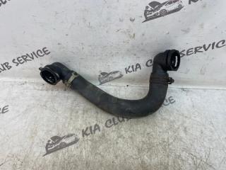 Патрубок радиатора KIA Optima 2019