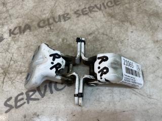 Петля двери задняя правая KIA Optima 2019