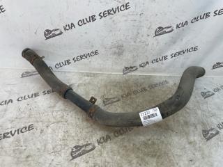 Патрубок радиатора KIA Optima 2019