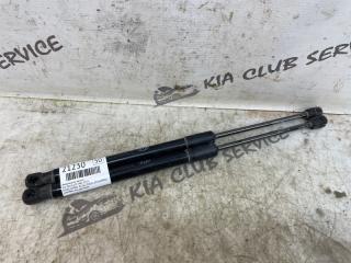 Амортизатор капота KIA Optima 2019