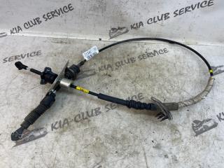 Трос переключения акпп KIA Optima 2019