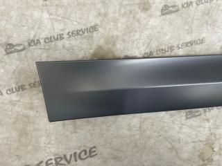 Накладка двери задняя правая X4 2020 G02