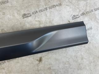 Накладка двери задняя правая X4 2020 G02