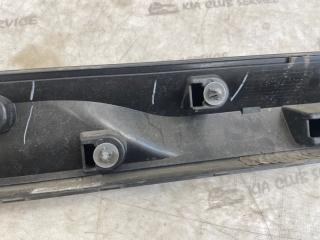 Накладка двери задняя правая X4 2020 G02