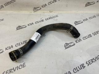 Патрубок радиатора передний KIA K5 2022