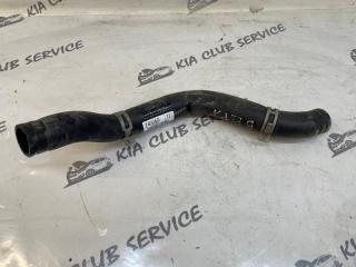 Патрубок радиатора KIA Optima 2018