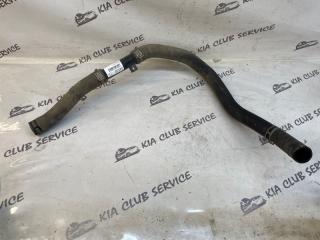 Патрубок радиатора KIA Optima 2018