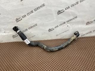 Патрубок радиатора передний KIA K5 2020