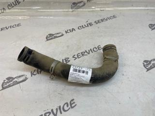 Патрубок радиатора Hyundai Sonata 2019