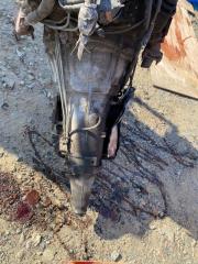 АКПП CHEVROLET ASTRO 2001 CM1106 L35 контрактная