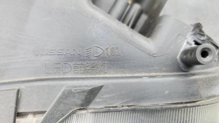 Ноускат X-TRAIL 2017 T32 MR20DD