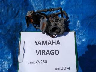 Карбюратор YAMAHA XV250 VIRAGO контрактная Карбюратор YAMAHA XV250 VIRAGO