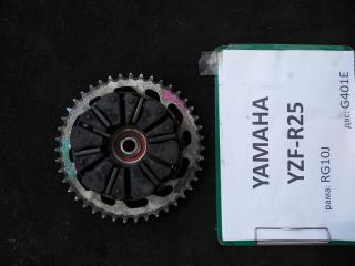 Звезда YAMAHA YZF-R25