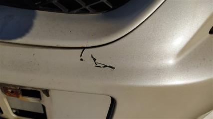 Nose cut HONDA EDIX BE3 K20A BE30001 5 ракурс