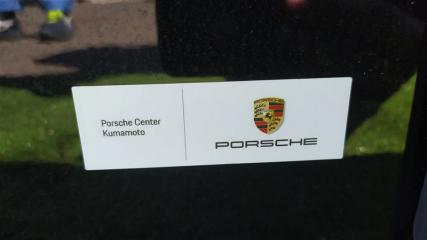 Дверь 5-я PANAMERA 971 Дверь 5-я PANAMERA 971