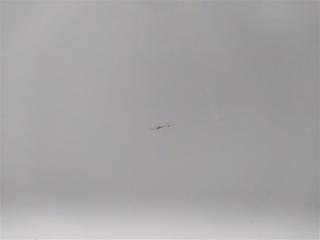 Дверь передняя правая Q8 4MN