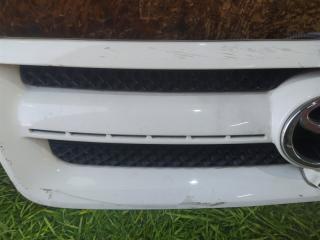 Решетка радиатора TOYOTA IPSUM ACM21 3 ракурс